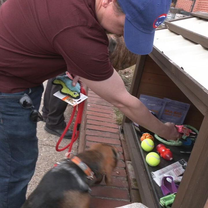 DOGGIE LIBRARY